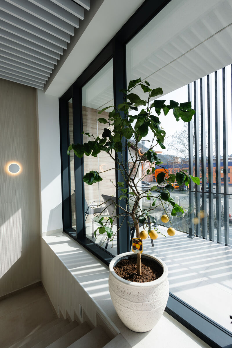 Ziua deschiderii Paro-Dent